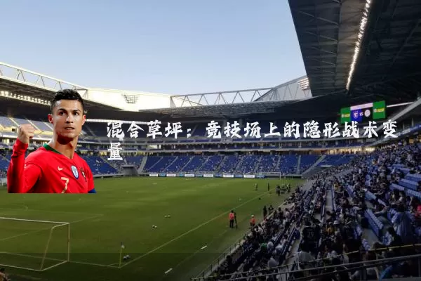 混合草坪：竞技场上的隐形战术变量